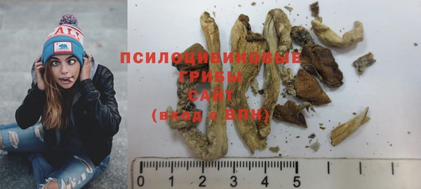 гидра Верея