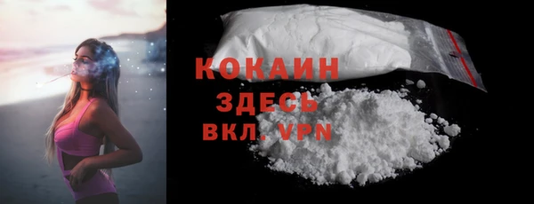 гидра Верея