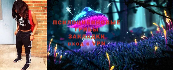 гидра Верея