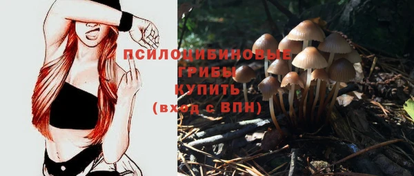 гидра Верея