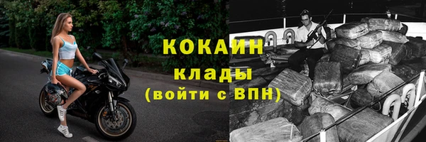 гидра Верея