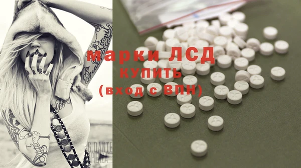 гидра Верея