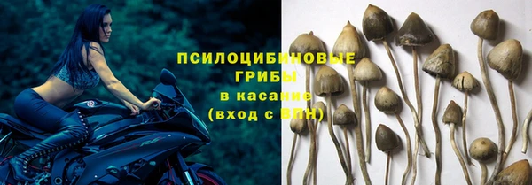 гидра Верея